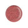 Assiette plate Ariane Oxide Céramique Rouge (Ø 24 cm) (6 Unités) 72,99 €