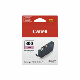 Cartouche d'encre originale Canon 300PM 33,99 €