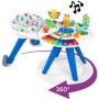 Trotteur Around We Go - BABY EINSTEIN 239,99 €