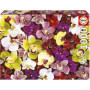 COLLAGE ORCHIDÉES - Puzzle de 1000 pieces 27,99 €