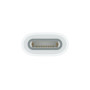 Apple - Adaptateur USB-C pour Apple Pencil 20,99 €