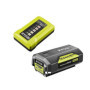 1 batterie lithium+ 36V - 2.0 Ah et 1 chargeur standard 1.7 A RYOBI MAXP 199,99 €