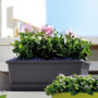 DEROMA Jardiniere Day R anthracite - Coloris gris anthracite - 60cm 32,99 €