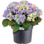 Pot De Fleurs Rond GREEN BASICS - Plastique - Ø45 - Terre cuite doux 111,99 €