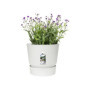 ELHO Pot de fleurs rond Greenville 25 - Extérieur - Ø 24.48 x H 23.31 cm 47,99 €