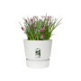 ELHO Pot de fleurs rond Greenville 30 - Extérieur - Ø 29.5 x H 27.8 cm - 71,99 €