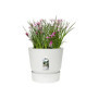 ELHO Pot de fleurs rond Greenville 40 - Extérieur - Ø 39 x H 36.8 cm - B 127,99 €