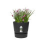 ELHO Pot de fleurs rond Greenville 30 - Extérieur - Ø 29.5 x H 27.8 cm - 64,99 €