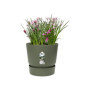 ELHO Pot de fleurs rond Greenville 25 - Extérieur - Ø 24.48 x H 23.31 cm 49,99 €