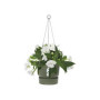 ELHO Pot de fleurs a suspendre Greenville 24 - Extérieur - Ø 23.9 x H 20 41,99 €
