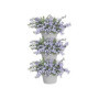 Corsica Foret Vertical 24 Set/3 blanc 44,99 €