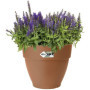Pot De Fleurs Rond VIBIA - Plastique Réservoir - Ø47 - Anthracite 164,99 €
