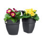 ELHO - Pot de fleurs - Vibia Campana Flower Twin 21 - Anthracite - Balc 46,99 €