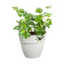 ELHO - Pot de fleurs - Vibia Campana Easy Hanger Small - Blanc Soie - B 32,99 €