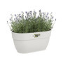 ELHO - Pot de fleurs - Vibia Campana Easy Hanger Medium - Blanc Soie - 50,99 €