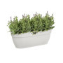 ELHO - Pot de fleurs - Vibia Campana Easy Hanger Large - Blanc Soie - B 63,99 €