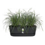 ELHO - Pot de fleurs - Greenville Easy Balcony 52 - Living Noir - Balc 77,99 €