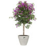 Pot De Fleurs Rond VIBIA - Plastique Réservoir - Ø40 - Vert 166,99 €