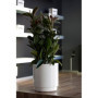 PLASTIKEN Pot de fleurs a réserve d'eau Hidrojardinera - Ø22 cm - Gris a 33,99 €