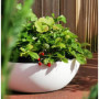 RIVIERA - Coupe pot de fleurs - granit D40 - blanc 55,99 €