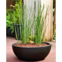 RIVIERA - Coupe pot de fleurs - granit D40 - noir 56,99 €