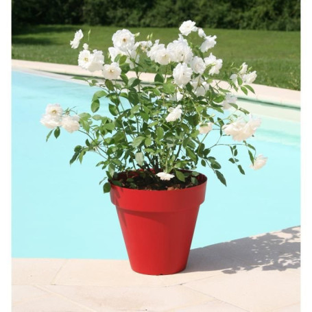 RIVIERA Pot de fleurs Soleilla -Rond - Ø 39.2 x 35.8 cm - Rouge 92,99 €