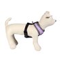 Harnais pour Chien Disney Gris 26,99 €