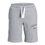 Short de Sport pour Enfants JPSTANDY Jack & Jones 12225211 Gris 35,99 €