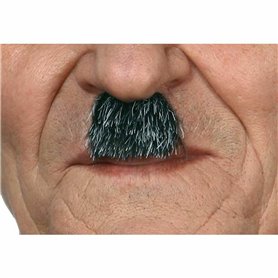 Moustache My Other Me Gris 29,99 €