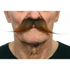 Moustache My Other Me Accessoire de costumes 30,99 €