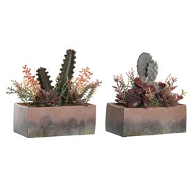 Plante décorative DKD Home Decor 19 x 9 x 22 cm Rose Orange Cactus Feuil 52,99 €