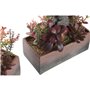 Plante décorative DKD Home Decor 19 x 9 x 22 cm Rose Orange Cactus Feuil 52,99 €