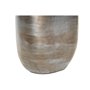 Vase DKD Home Decor 17 x 9 x 47 cm Verre Aluminium Multicouleur Moderne 60,99 €