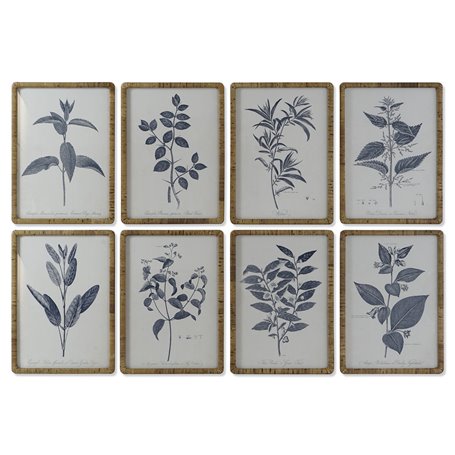 Cadre DKD Home Decor Moderne Plantes botaniques 50 x 2,5 x 70 cm (8 Unit 389,99 €