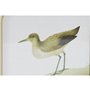 Cadre DKD Home Decor Oiseaux Cottage 30 x 2 x 30 cm (6 Unités) 129,99 €