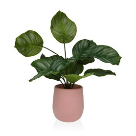 Plante décorative Versa 15 x 44 x 15 Ciment Plastique 55,99 €