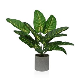 Plante décorative Versa 15 x 43 x 15 cm Papier Plastique 48,99 €