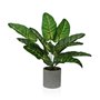Plante décorative Versa 15 x 43 x 15 cm Papier Plastique 48,99 €