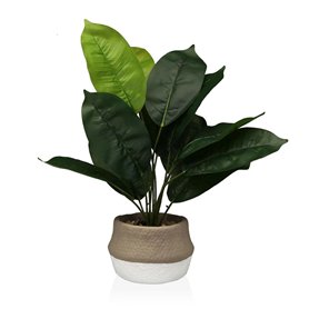 Plante décorative Versa 15 x 43 x 15 cm Ciment Plastique 53,99 €