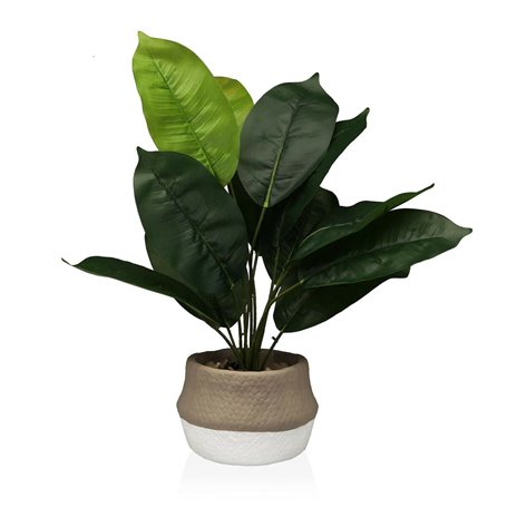 Plante décorative Versa 15 x 43 x 15 cm Ciment Plastique 53,99 €
