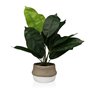 Plante décorative Versa 15 x 43 x 15 cm Ciment Plastique 53,99 €