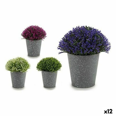 Plante décorative Plastique 14 x 15 x 14 cm (12 Unités) 78,99 €