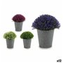 Plante décorative Plastique 14 x 15 x 14 cm (12 Unités) 78,99 €