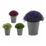 Plante décorative Plastique 14 x 15 x 14 cm (12 Unités) 78,99 €