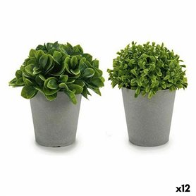 Plante décorative Plastique 13 x 17 x 13 cm (12 Unités) 82,99 €