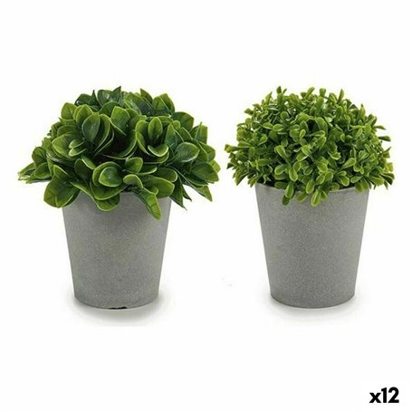 Plante décorative Plastique 13 x 17 x 13 cm (12 Unités) 82,99 €