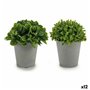 Plante décorative Plastique 13 x 17 x 13 cm (12 Unités) 82,99 €