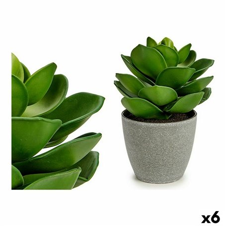 Plante décorative Gris Vert (16 x 21 x 16 cm) (6 Unités) 85,99 €