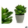 Plante décorative Gris Vert (16 x 21 x 16 cm) (6 Unités) 85,99 €