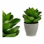 Plante décorative Gris Vert (16 x 21 x 16 cm) (6 Unités) 85,99 €